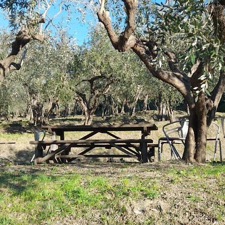 Agriturismo Cele Челле-Лігуре Екстер'єр фото